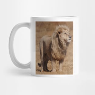 Lions Mug